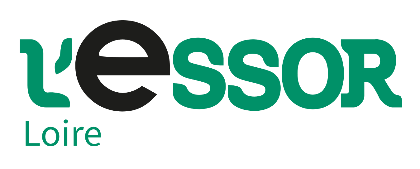 logo-essor-e1670334550271